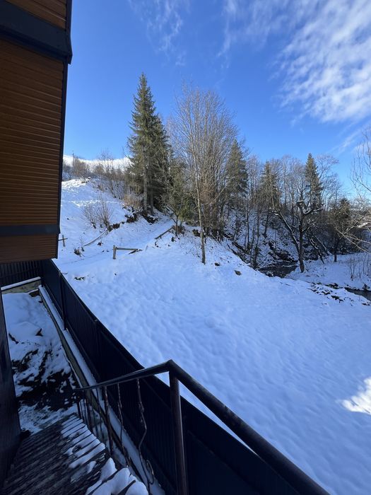 Будинок в Карпатах Славське , Без Власників ,Басейн , Чан Сауна