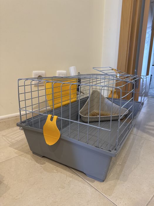 Gaiola coelho e outros roedores