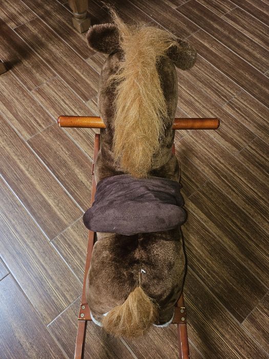 Konik bujany na biegunach