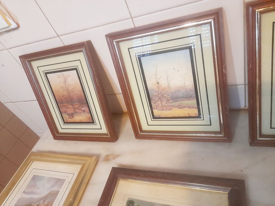 Conjunto de 6 Quadros Decorativos