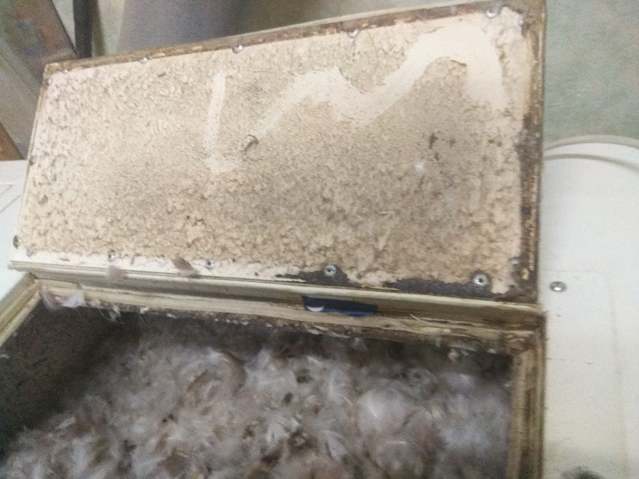 Парова чистка подушок, реставрація , заміна напірника.