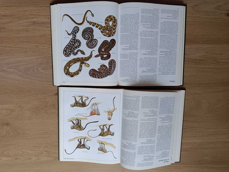 Moderna enciclopédia de animais