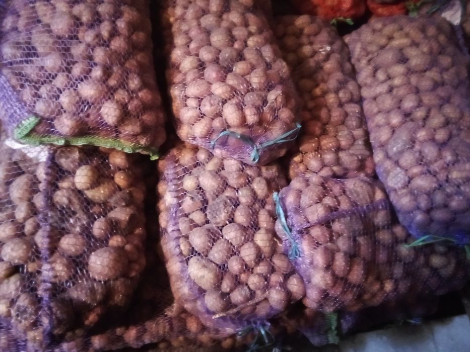 Продам дрибну картошку