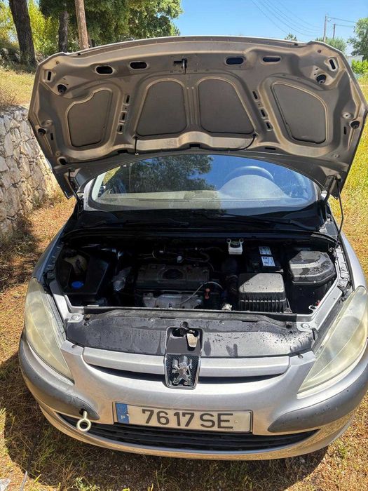 Pegeout 307 gasolina