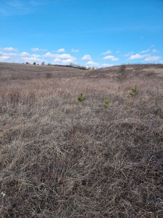 ₴ Земельна ділянка біля ставу в Колоденці 7.87 соток