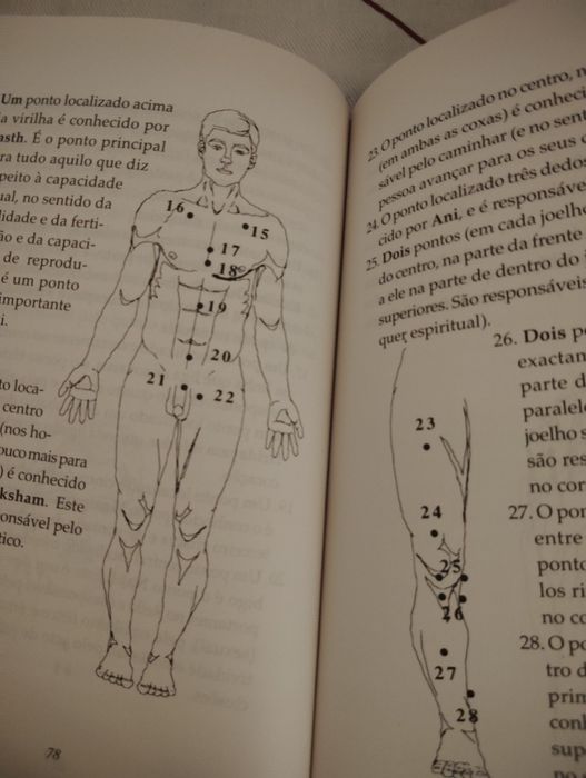 Livro Guia Prático do Reiki Como Novo