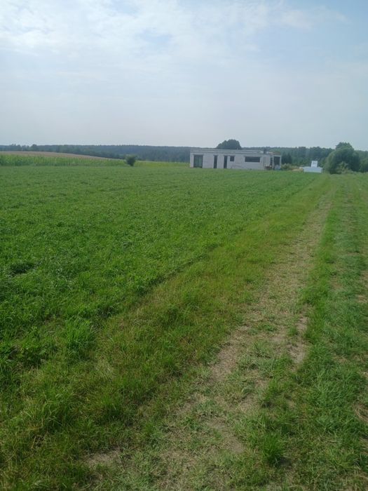 Sprzedam 2 działki budowalne Rogienice Wielkie, 15 km od Łomży - Widok 2