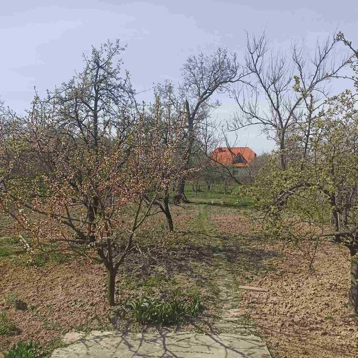 House by the address st. Magistratskaya (area 122 m²) - Atlanta.ua - photo 13