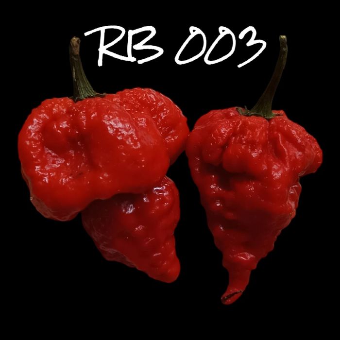 Vendo sementes de malaguetas raras