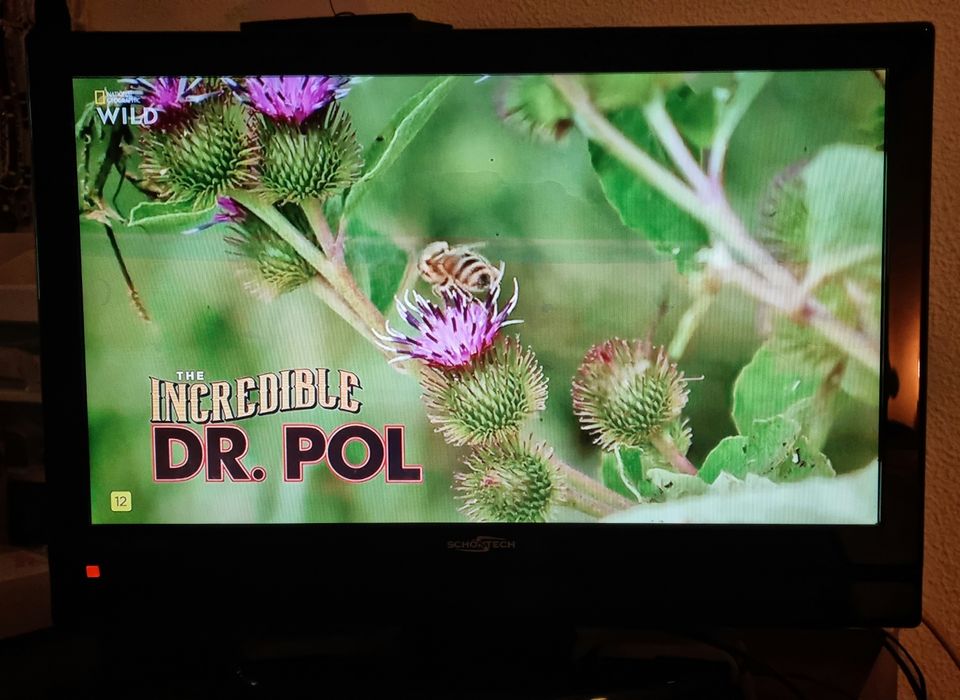 Smart Tv SconTech pequena, óptima qualidade de som e imagem