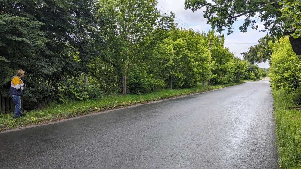 Продаж земельної ділянки с.Дзвінкове. Без комісії для покупця!