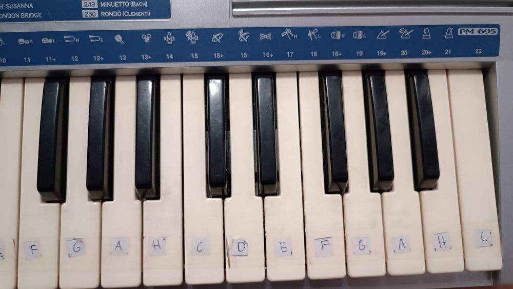 Keyboard BONTEMPI PM695