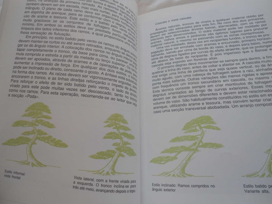 A Arte do Bonsai por Peter Adams