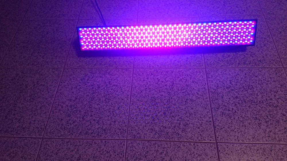Barras de leds 80cm Eurolite