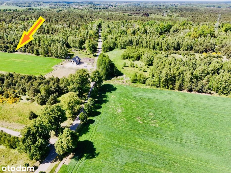 Działki budowlane w Chlewiskach pod Kotuniem! - Widok 3