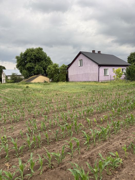 Sprzedam siedlisko