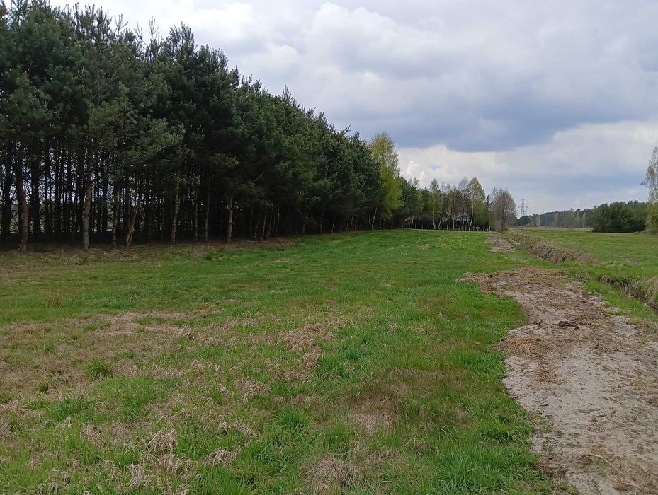 działka budowlana /warunki zabudowy