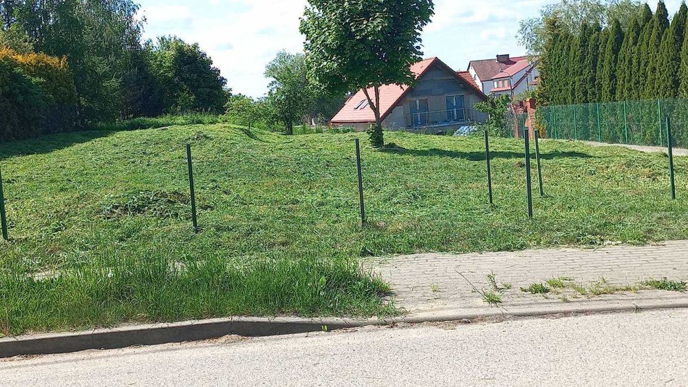 Zdjęcie 6