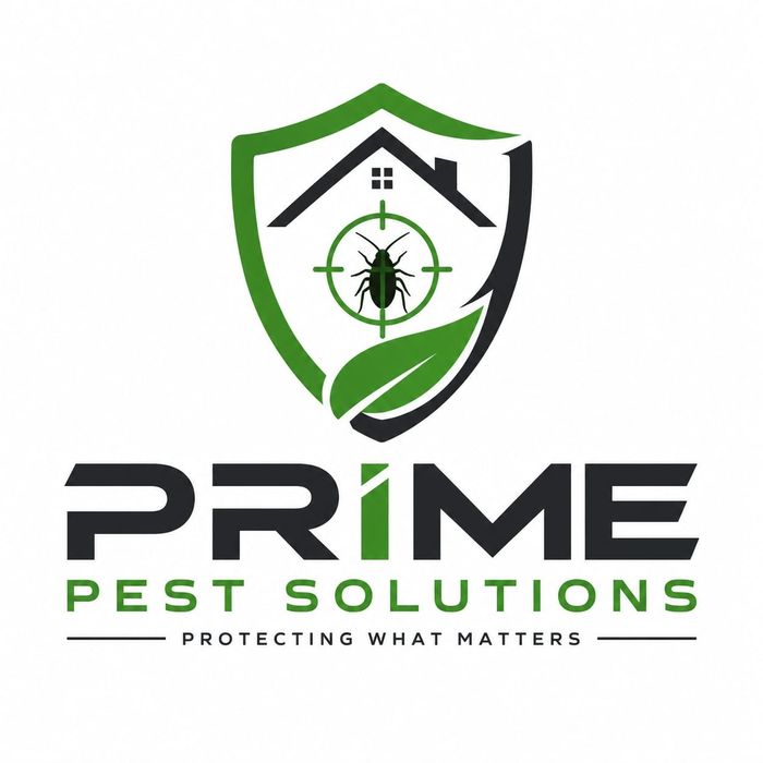 Percevejo_ pest solutions