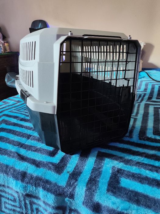 Transportadora de animais