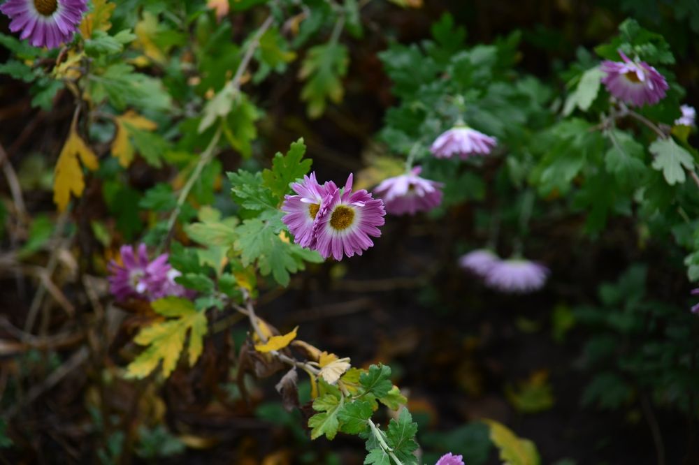 Объектив Nikon 28 -200мм  f/3,5-5,6 D