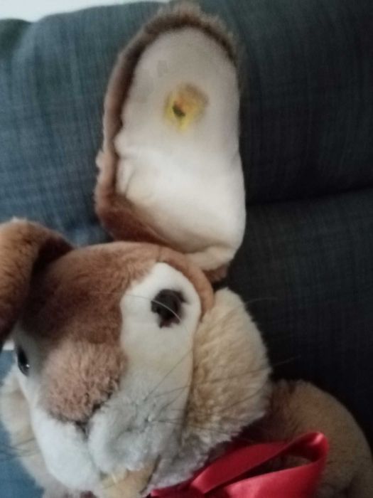 Peluche da Steiff - Coelho - Ref: 6282/75