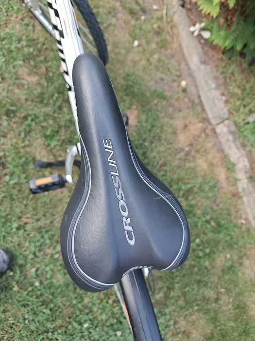 Rower crossowy Alpina