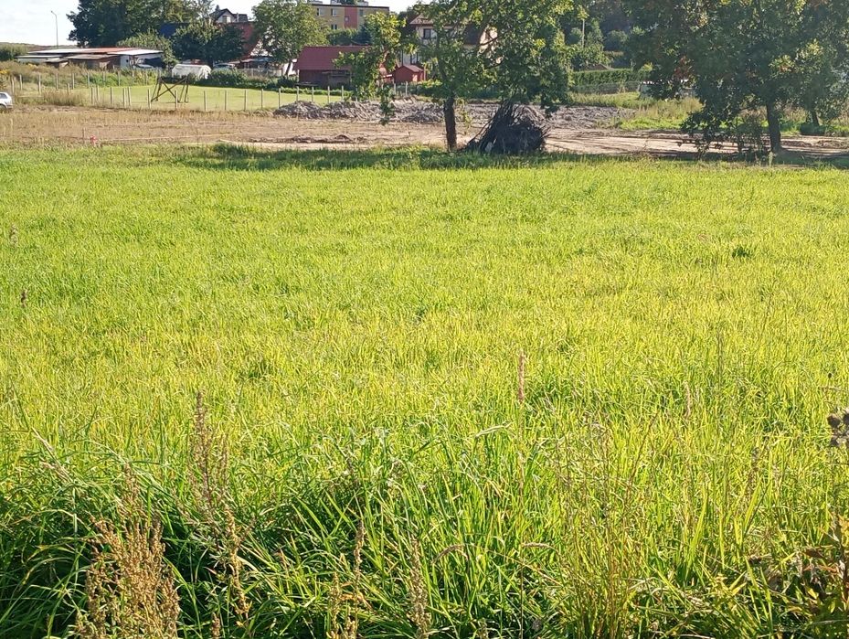 Sprzedam atrakcyjną działkę budowlaną 10 arów ,Szafranki