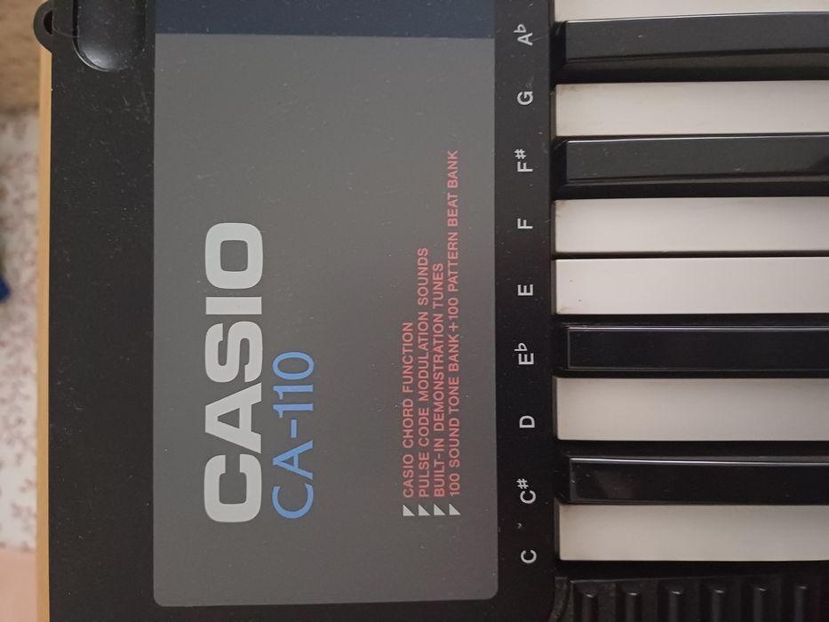 Casio 110 órgão musical