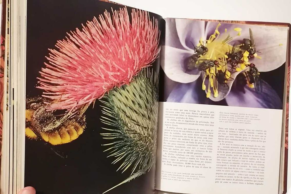 O Assombroso Mundo da Natureza - Suas Maravilhas e Mistérios