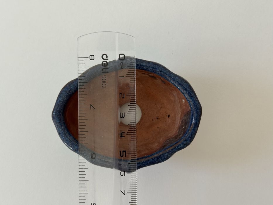 Горшик, плашка, бонсай