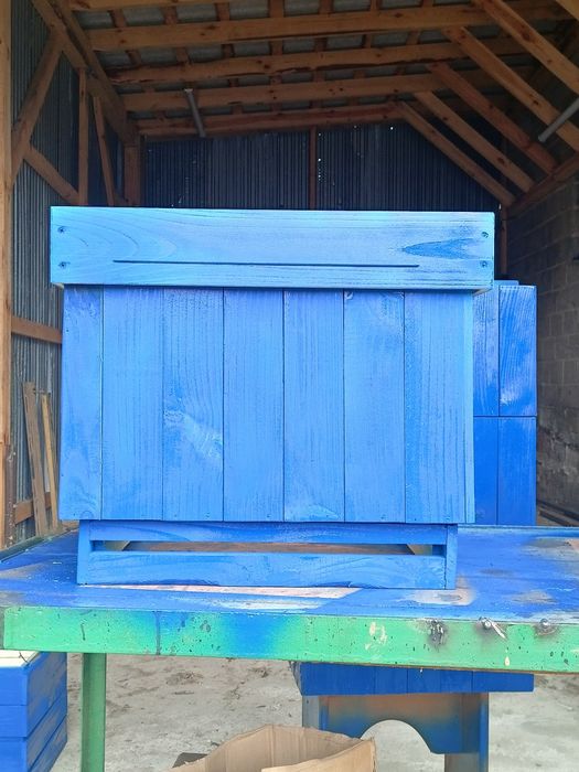 ule wielkopolskie nowe