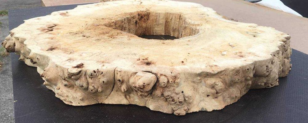 Кап Зріз Слеб Тополь