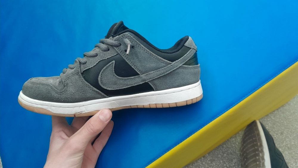 Nike dunk low pro