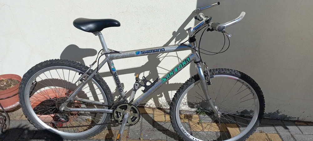 Bicicleta adulto