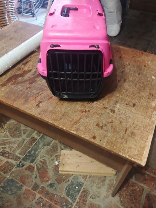 Переносна для кота