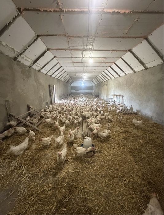 Продам дом с Бритовка