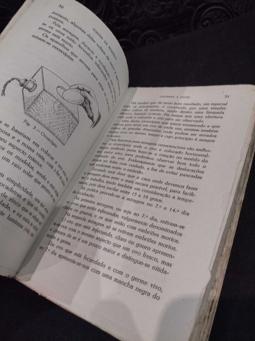 Galinhas e Ovos 1953 Dr. Mário Marques