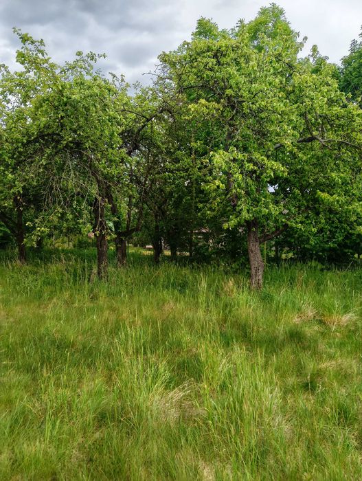 Dom na sprzedaż 68 m²