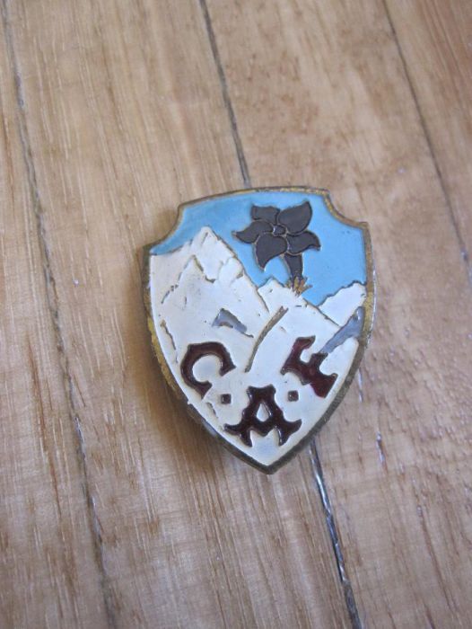 Pins Antigos (Alpes)