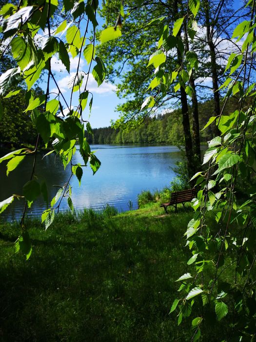 Ośrodek wypoczynkowy - gotowy biznes - Widok 3