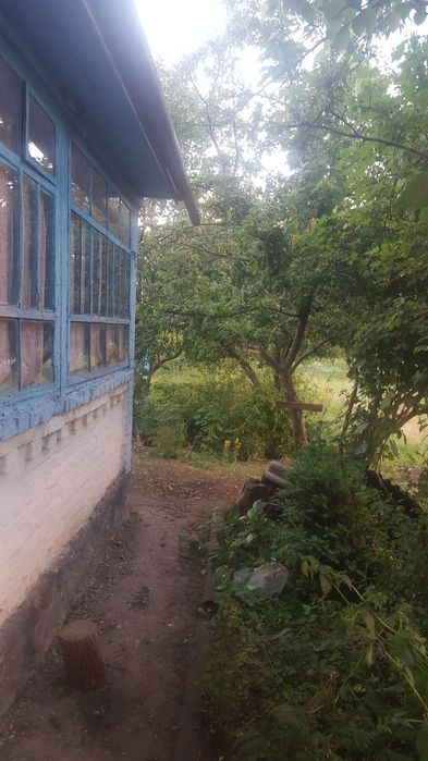 Продається будинок в ПГТ Маньківка