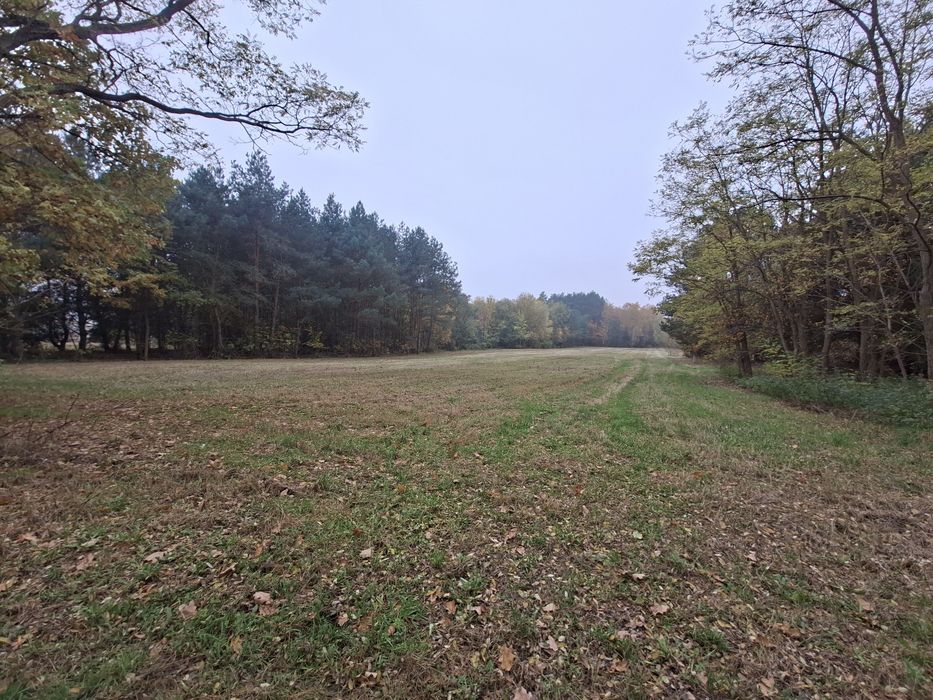 Działki budowlane z warunkami zabudowy