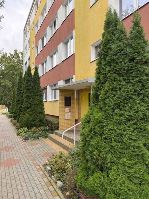 Mieszkanie M4 dwa pokoje ul Zakole 6