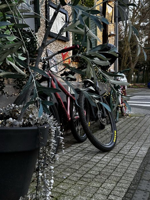 Sprzedam rame dirt ns bike movmnet 3 custom