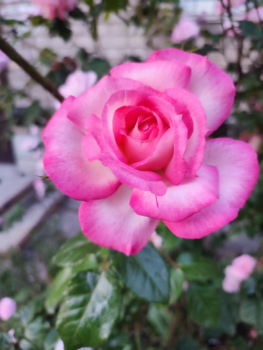 Нужна очень, помощь семьие с детьми вещами!