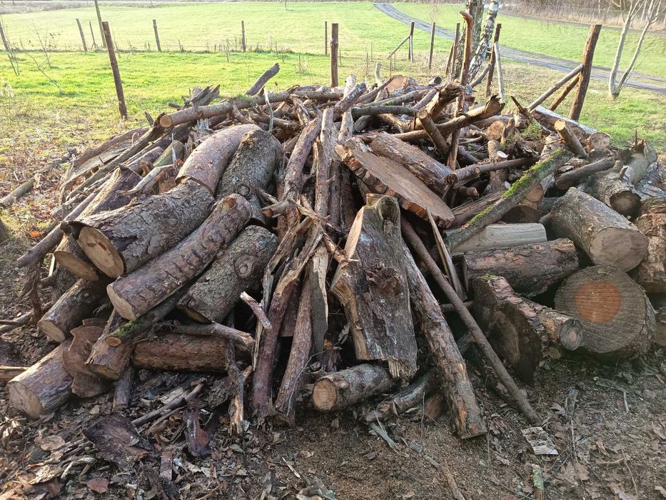 Sprzedam drzewo mieszane