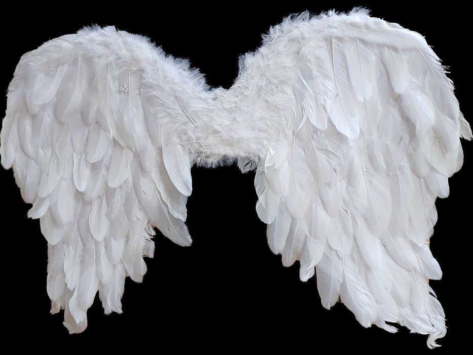 skrzydła anioła przebranie na jasełka strój kostium