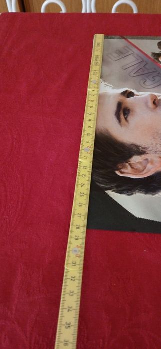 Poster Sinsajo - Katniss e Gale,  novo