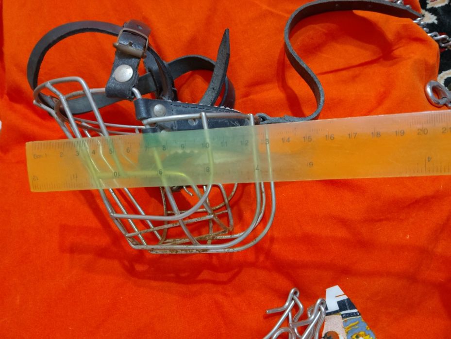 Поводок, ошейник, намордник